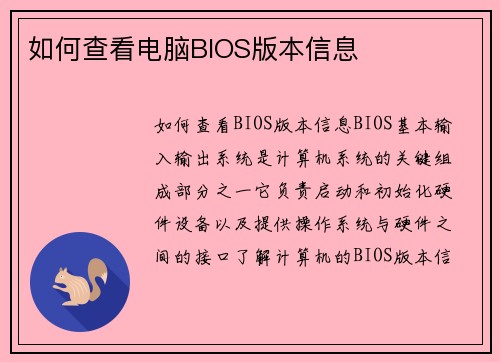 如何查看电脑BIOS版本信息